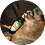 Jalla
