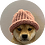 Jeppa