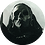 jkowal999