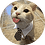 Kitty100