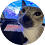 Kitty100