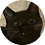 kukurydz