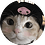 Laxo666