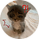 lordmouse