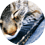 lyoxa1999