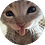 m1rtin4o