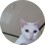 Marvinbeki