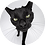mbortoletto