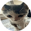 Mertabi