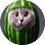 mihaivsp