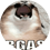 MiksonFirst2