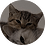 minso