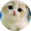 monty