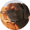 nagyondark