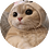 negoitamatei99