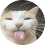 nepizdabol500