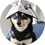 nexxg
