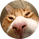 NsmHvH