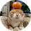 Orbital