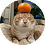 Orbital