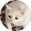 peeko