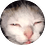 perterrefactus