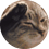 pressF2021