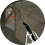 qq2360524404