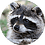 Rac