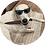 Rafikirikiki