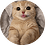 rafrr