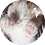 rorintfhf
