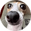 Safe_HVH