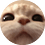 Sambojane17
