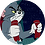 sdkzew