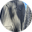 sekorLoveHacks
