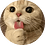 Shaurmaa