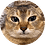 siteya