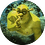SkyRast