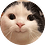 Snif