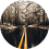snt