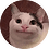 soaringwpx