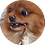 Sqwe