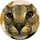 srchacktest