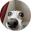sssssx