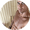 stefan9