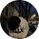 steiver1337