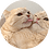 Stoast