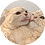 Stoast
