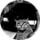 SyNk3d